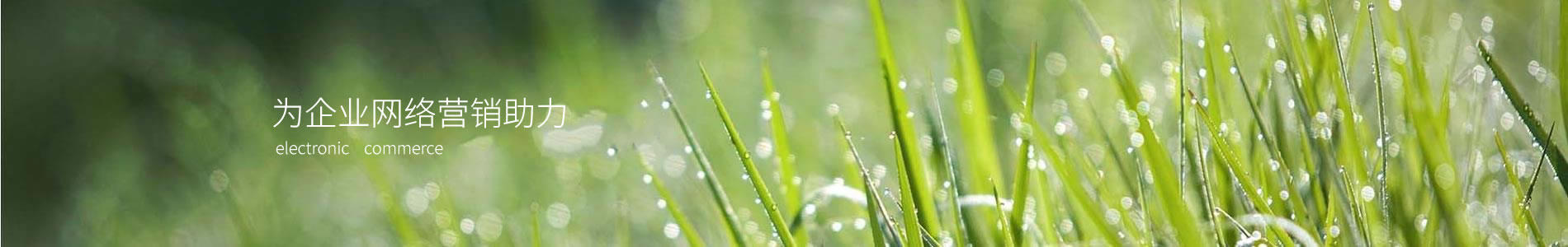 ŵǱ޹˾
